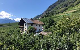 Pixnerhof - Urlaub Am Biohof