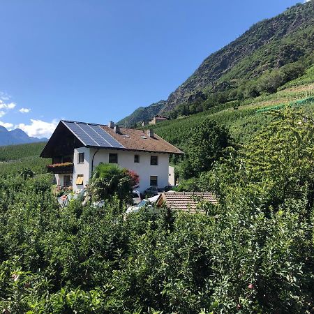 Appartamento Pixnerhof - Urlaub Am Biohof Castelbello Esterno foto
