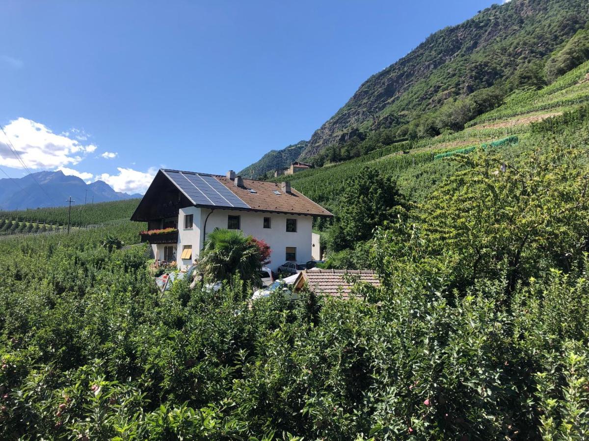 Appartamento Pixnerhof - Urlaub Am Biohof Castelbello Esterno foto