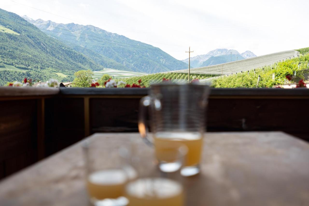 Appartamento Pixnerhof - Urlaub Am Biohof Castelbello Esterno foto