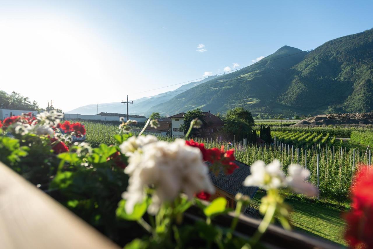 Appartamento Pixnerhof - Urlaub Am Biohof Castelbello Esterno foto