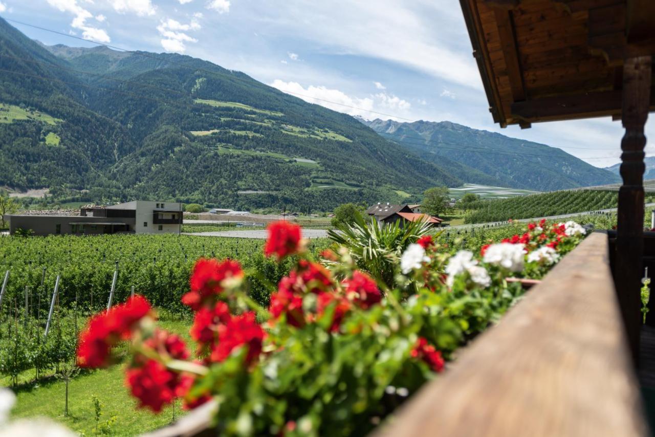 Appartamento Pixnerhof - Urlaub Am Biohof Castelbello Esterno foto
